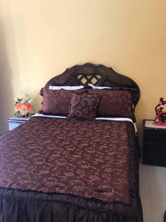 Hostal El Sueno De San Martin Paracas Ngoại thất bức ảnh